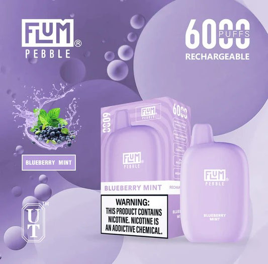 Flum Pebble 6000 Puff Disposable Vape Wholesale 10 Pack Review